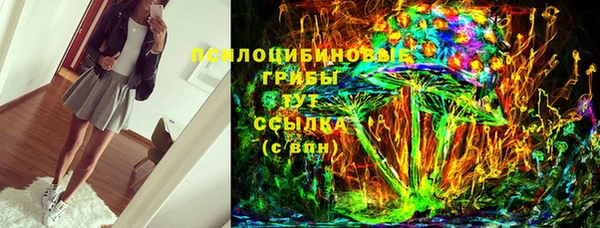 шишки Каменка