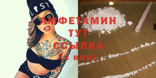 шишки Каменка