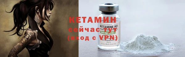 шишки Каменка