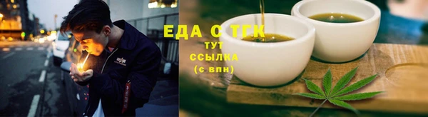 шишки Каменка