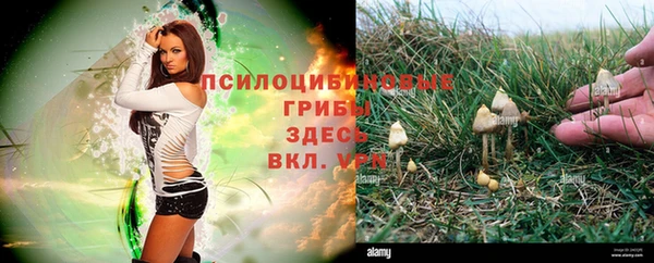 шишки Каменка