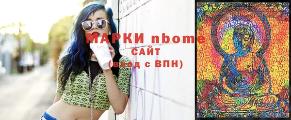 шишки Каменка