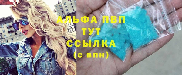 шишки Каменка
