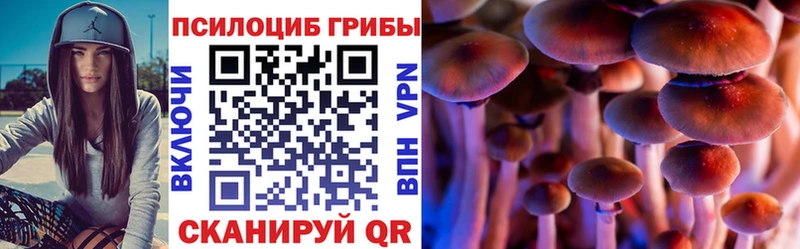Галлюциногенные грибы Cubensis  Купить закладки  Добрянка 